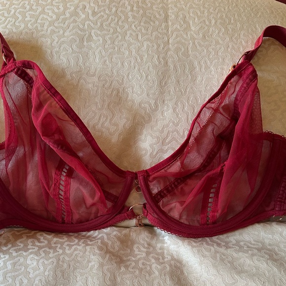 Scantilly unchained sheer plunge bra in deep red size 34FF 34H - Picture 10 of 11